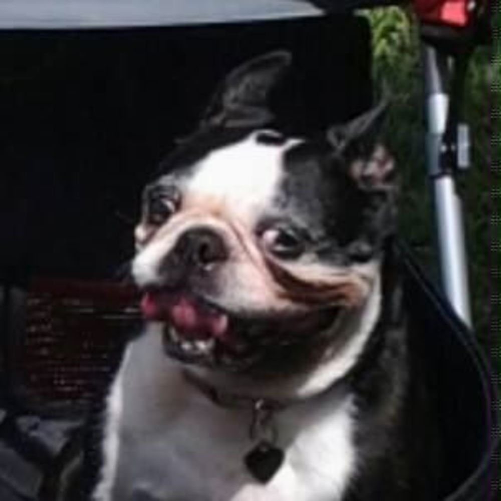 Meet your Posher, Gail